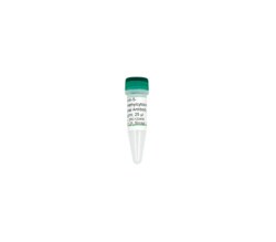 Zymo Research Corporation Anti-5-Hydroxymethylcytosine Polyclonal Antibody