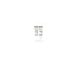 Zymo Research Corporation Proteinase K w/ Storage Buffer Set, 20mg, Quantity: