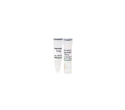 Zymo Research Corporation Proteinase K w/ Storage Buffer Set, 5mg, Quantity: