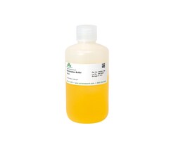 Zymo Research Corporation Neutralization Buffer (Yellow), 160 ml