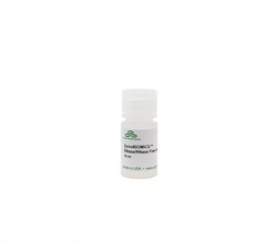 Zymo Research Corporation ZymoBIOMICS DNase/RNase Free Water, 10 ml