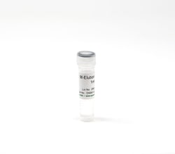Zymo Research Corporation M-Elution Buffer, 1 ml, Quantity: Each of 1