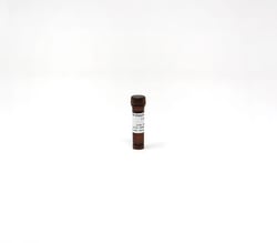 Zymo Research Corporation&nbsp;M-Dissolving Buffer, 1.2 ml