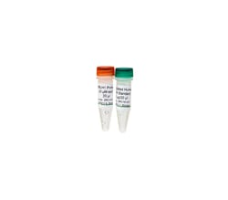 Zymo Research Corporation Universal Methylated Human DNA Standard& Control