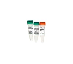 Zymo Research Corporation&nbsp;Human Methylated & Non-Methylated (WGA) DNA Set (DNA w/ primers)