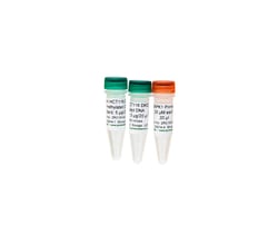 Zymo Research Corporation Human Methylated & Non-Methylated DNA Set (DNA