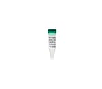 Zymo Research Corporation E. coli Non-Methylated Genomic DNA (5 μg/ 20 μl)