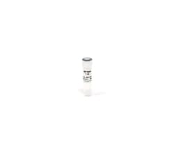 Zymo Research Corporation&nbsp;5M NaCl, 1 ml