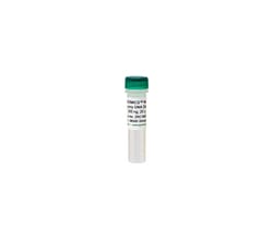 Zymo Research Corporation ZymoBIOMICS Microbial Community DNA Standard