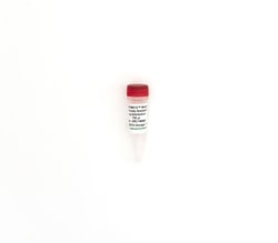 Zymo Research Corporation ZymoBIOMICS Microbial Community Standard II..(Staggered,