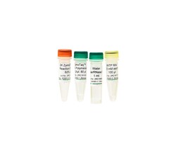 Zymo Research Corporation ZymoTaq Polymerase (200 Rxns), Quantity: Each