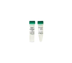 Zymo Research Corporation ZymoTaq PreMix (50 Rxns), Quantity: Each of 1