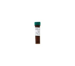 Zymo Research Corporation Femto Human qPCR Premix, Quantity: Each of 1
