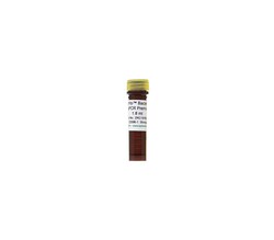 Zymo Research Corporation Femto Bacterial qPCR Premix, Quantity: Each of