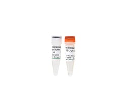 Zymo Research Corporation DNA Degradase (500 U), Quantity: Each of 1