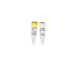 Zymo Research Corporation&nbsp;dsDNA Shearase&trade; Plus 50 U (1 U/ul)