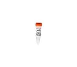 Zymo Research Corporation ZR 50 bp DNA Marker™ (50 μg / 100 μl)