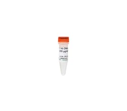Zymo Research Corporation ZR 1 kb DNA Marker™ (200 μg / 400 μl)