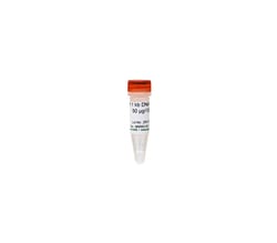 Zymo Research Corporation ZR 1 kb DNA Marker™ (50 μg / 100 μl)