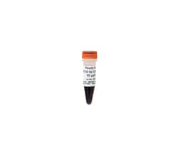 Zymo Research Corporation ZR 50 bp DNA Marker™ (Ready-to-load) (50 μg/ 600 μl)