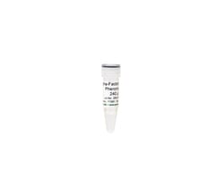 Zymo Research Corporation Alpha-Factor Mating Pheromone (240 µl), Quantity: