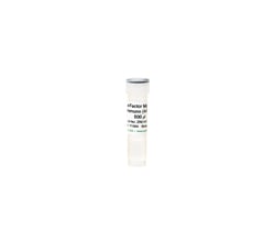 Zymo Research Corporation a-Factor Mating Pheromone, 500 ul, Quantity:
