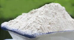 GFS Chemicals Inc VITEX, (Modified Starch) | 500 G | GFS CHEMICALS, INC.
