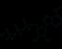 Trilink Bio Technologies Inc N6-Methyladenosine-5'-Triphosphate | 5 umole