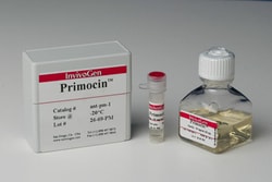 Invivogen Primocin- Antimicrobial agent for primary cells, 500 mg (10 x