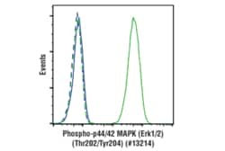 Cell Signaling Technology Phospho-p44/42 MAPK (Erk1/2) (Thr202/Tyr204)