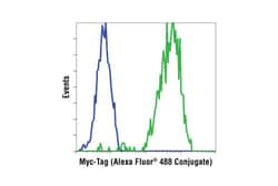 Cell Signaling Technology Myc-Tag (9B11) Mouse mAb (Alexa Fluor 488 Conjugate)