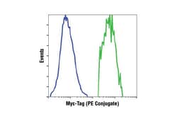 Cell Signaling Technology Myc-Tag (9B11) Mouse mAb (PE Conjugate) 100 µl,