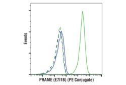 Cell Signaling Technology PRAME (E7I1B) Rabbit mAb (PE Conjugate) 100 µl,