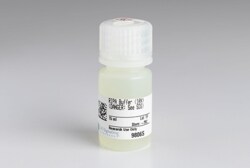 Cell Signaling Technology RIPA Buffer (10X) 15 ml