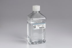 Cell Signaling Technology Tris Buffered Saline with Tween 20 (TBST-10X)