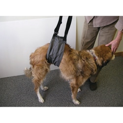 Med Vet International&nbsp;Jorvet E-Z Lift, For Small Animals