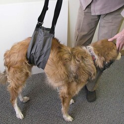 Med Vet International&nbsp;Jorvet E-Z Lift, for Large Animals