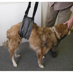 Med Vet International&nbsp;Jorvet E-Z Lift, Set of 2