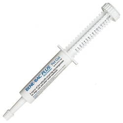 Med Vet International Probiocin Gel For Small Animals 15gm