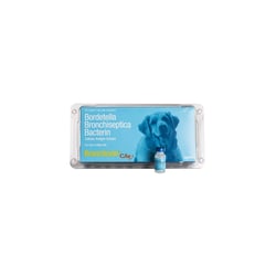 Med Vet International Dasuquin Large, 84 Chew Tabs 12/Case