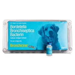 Med Vet International Zoetis Bronchicine Cae Bordetella Bronchiseptica
