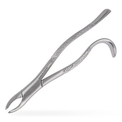 Med Vet International 7-in Molar/Extractor Forceps, German