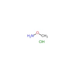 Matrix Scientific O-Methylhydroxylamine hydrochloride, 593-56-6, MFCD00012951, 25g