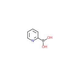 Matrix Scientific Pyridine-2-boronic acid, 197958-29-5, MFCD00151844, 1g,