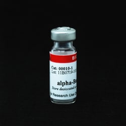 Biotium Alpha-Bungarotoxin, 1mg, Quantity: Each of 1