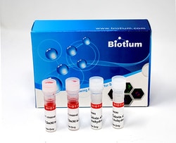 Biotium Viability/Cytotoxity Assay Kit for Animal Live & Dead Cell (150