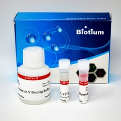 Biotium Apoptosis & Necrosis Quantification Kit (50 assays), Quantity: