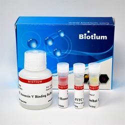 Biotium Apoptotic, Necrotic & Healthy Cells Quantification Kit (50 assays),