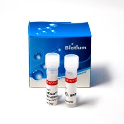 Biotium ViaFluor CFSE Cell Proliferation Kit, Quantity: Pack of 1