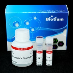 Biotium&nbsp;Apoptosis and Necrosis Quantitation Kit Plus (50 assays)